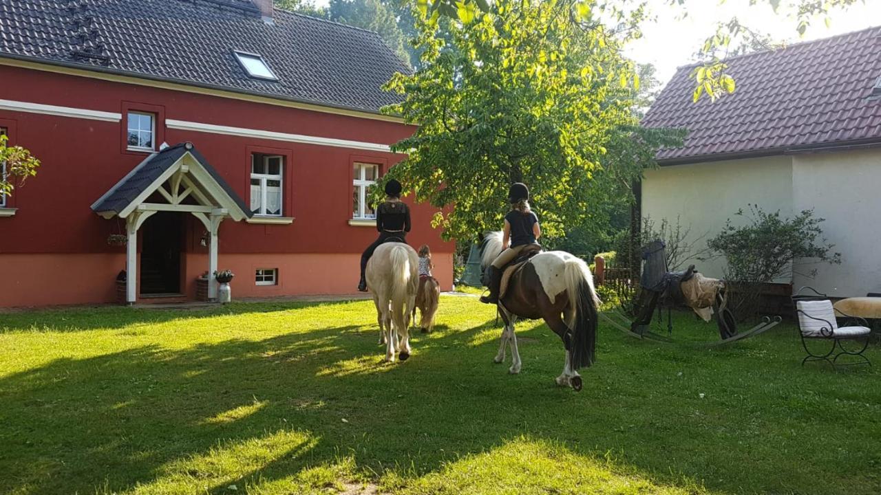 Ferienwohnung Kunz Burg  Buitenkant foto