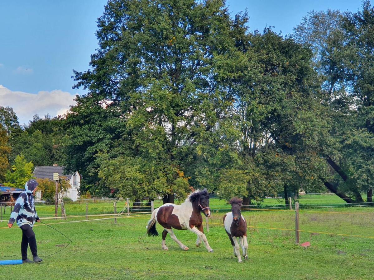 Ferienwohnung Kunz Burg  Buitenkant foto