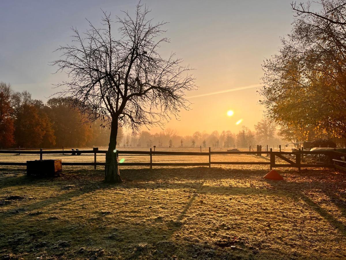 Ferienwohnung Kunz Burg  Buitenkant foto